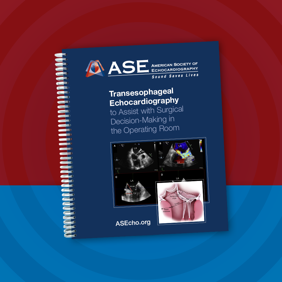 TEE to Assist with Surgical Decision-Making in the Operating Room Reference Guide