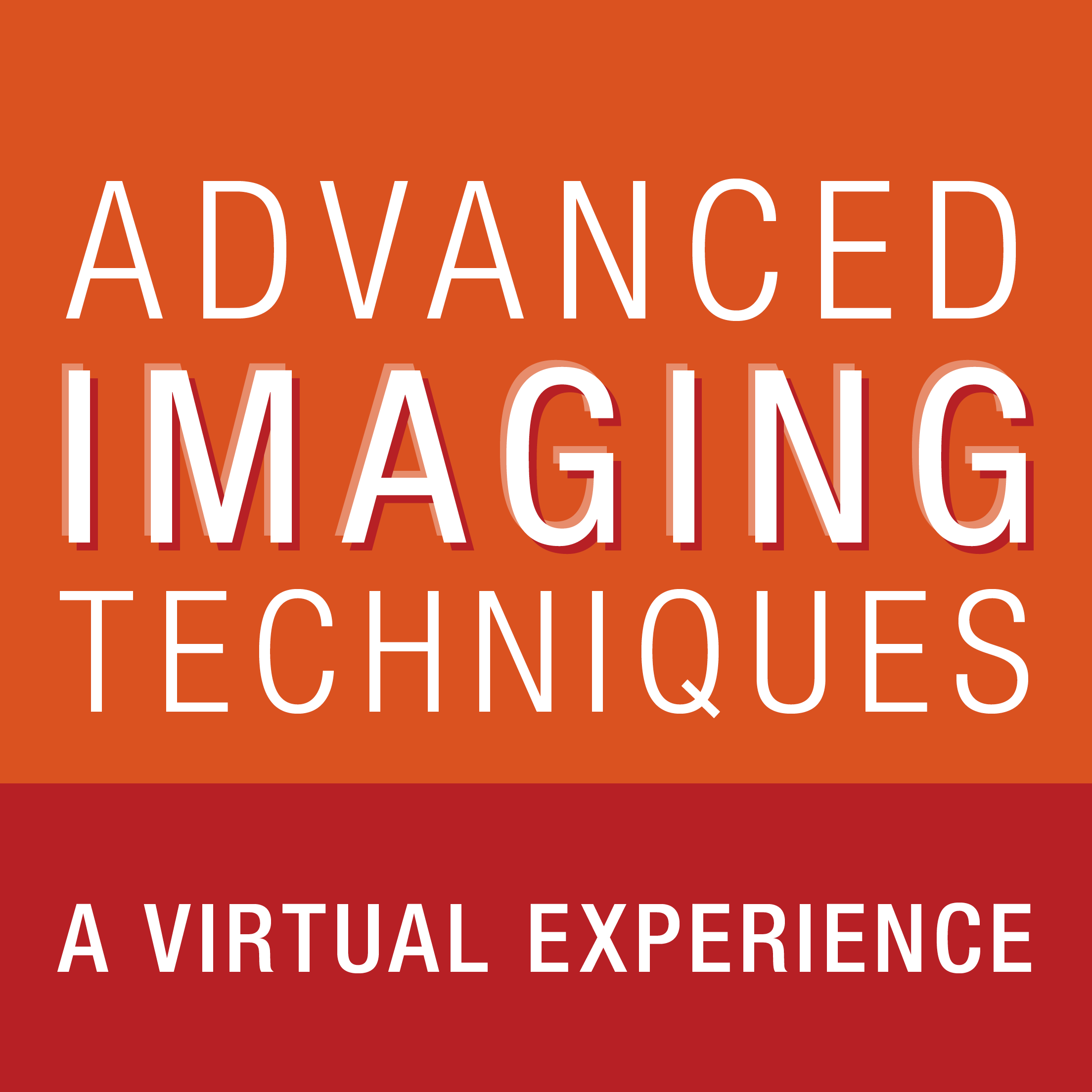 Advanced Imaging Techniques: Virtual Experience 