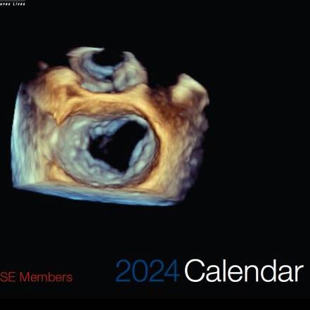 ASE Image Calendar 2024
