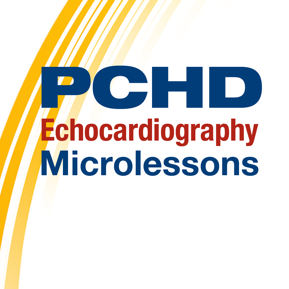 PCHD Microlessons: Module 1