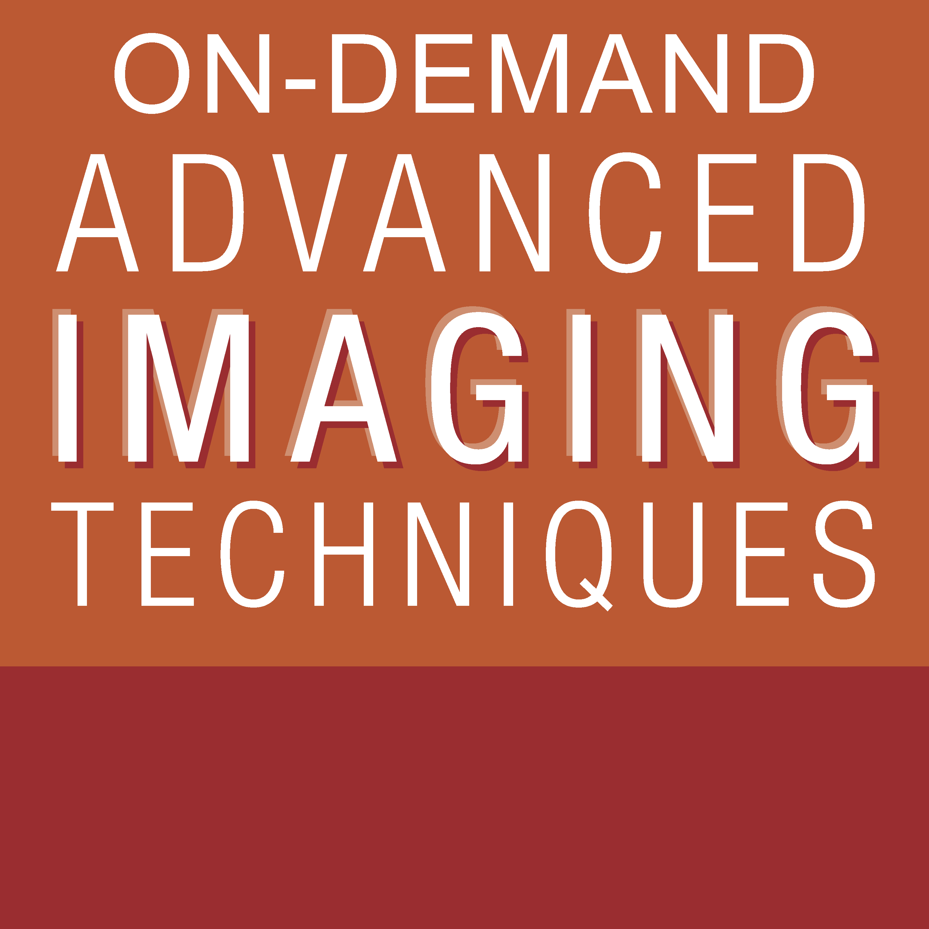 2024 Advanced Imaging Techniques: OnDemand