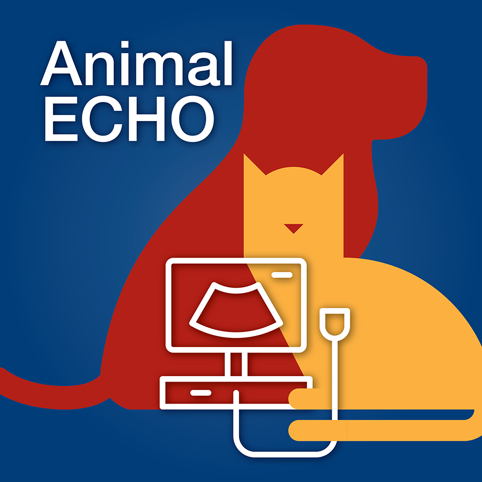 Animal Echo Collection: Comparative CHD Assessment: Biped vs. Quadruped