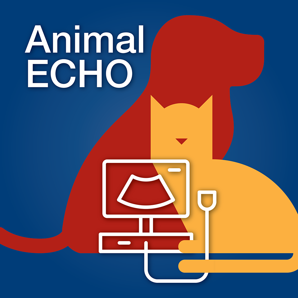 Animal Echo Collection: Assessment Of The Mitral Valve & Quantification Of Mitral Regurgitation In Humans & Other Animals