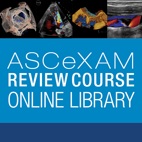 Online Library: 2025 ASCeXAM Review Course