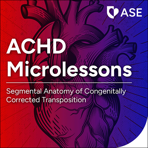 ACHD Microlessons: Segmental Anatomy of Congenitally Corrected Transposition