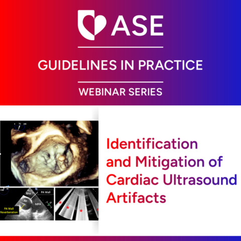 Guidelines In Practice Webinar Series: Ultrasound Artifacts