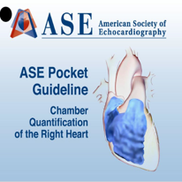 Chamber Quantification of the Right Heart Pocket Guide
