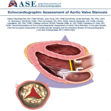 Aortic Valve Stenosis Insert