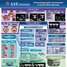 Aortic Valve Stenosis Poster