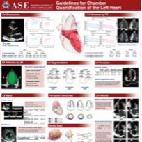 Chamber Quantification of the Left Heart Poster