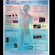 Non-Invasive Vascular Testing Poster
