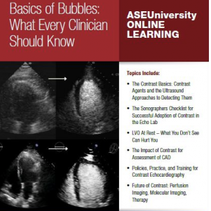 Basics of Bubbles: What Every Clinician Should Know