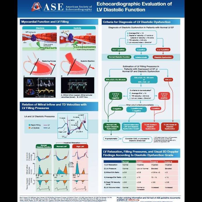 LV Diastolic Function Flip Chart Poster