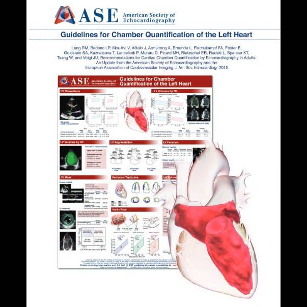 Chamber Quantification of the Left Heart (Insert)