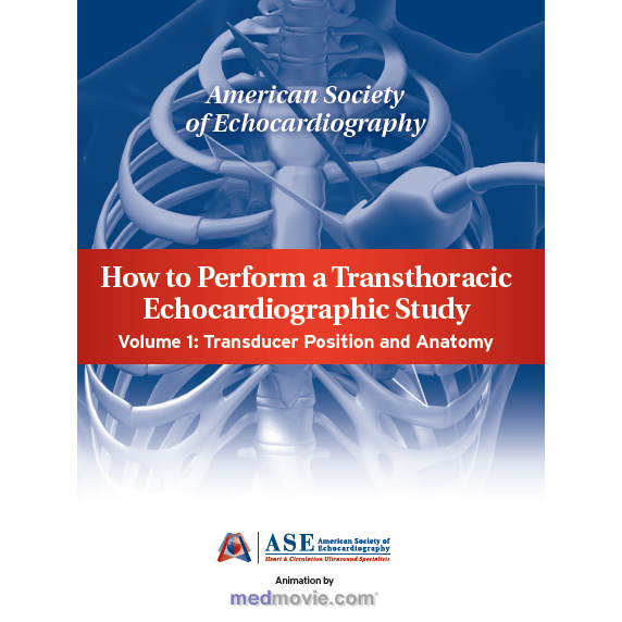 How to Perform a Transthoracic Echocardiographic Study Volume 1